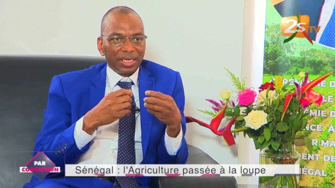 Elections territoriales de janvier 2022 : Le Pr Moussa Baldé investi candidat de Benno à la mairie de Kolda