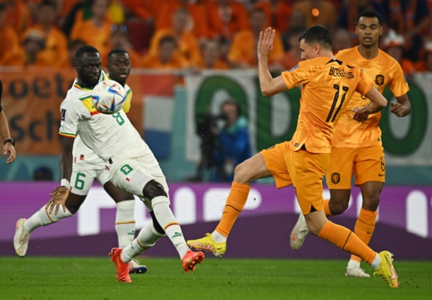 Coupe du monde Qatar 2022 :  Le Sénégal battu d’entrée par les Pays-Bas