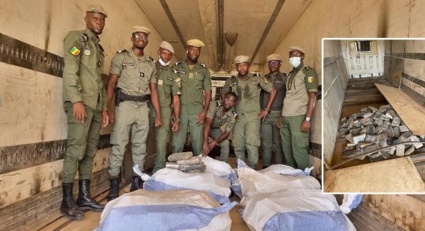 Kidira : La Douane fait une saisie record de 1137,6 kg de cocaïne estmée plus de 90 milliards de FCfa