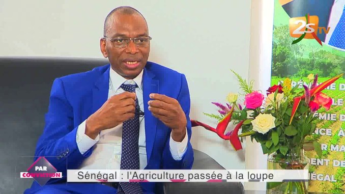 Elections territoriales de janvier 2022 : Le Pr Moussa Baldé investi candidat de Benno à la mairie de Kolda