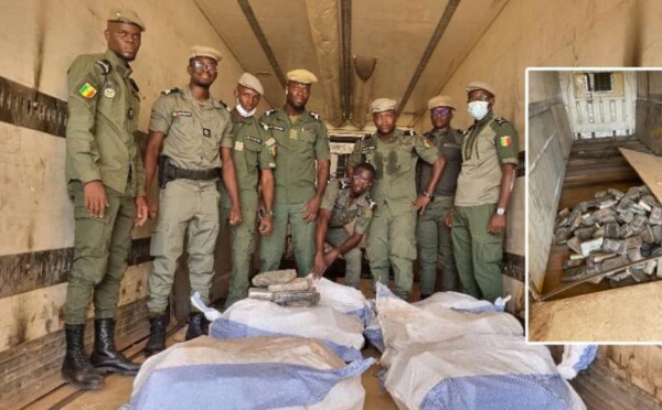 Kidira : La Douane fait une saisie record de 1137,6 kg de cocaïne estmée plus de 90 milliards de FCfa