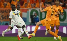 Coupe du monde Qatar 2022 :  Le Sénégal battu d’entrée par les Pays-Bas
